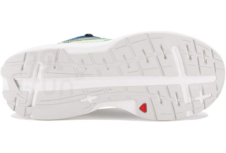 Salomon Aero Glide Herren