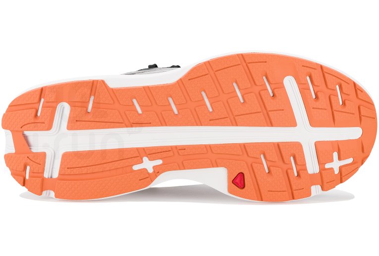 Salomon Aero Glide Herren