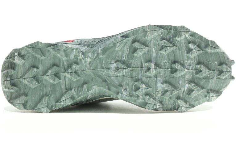 Salomon Alphacross Blast