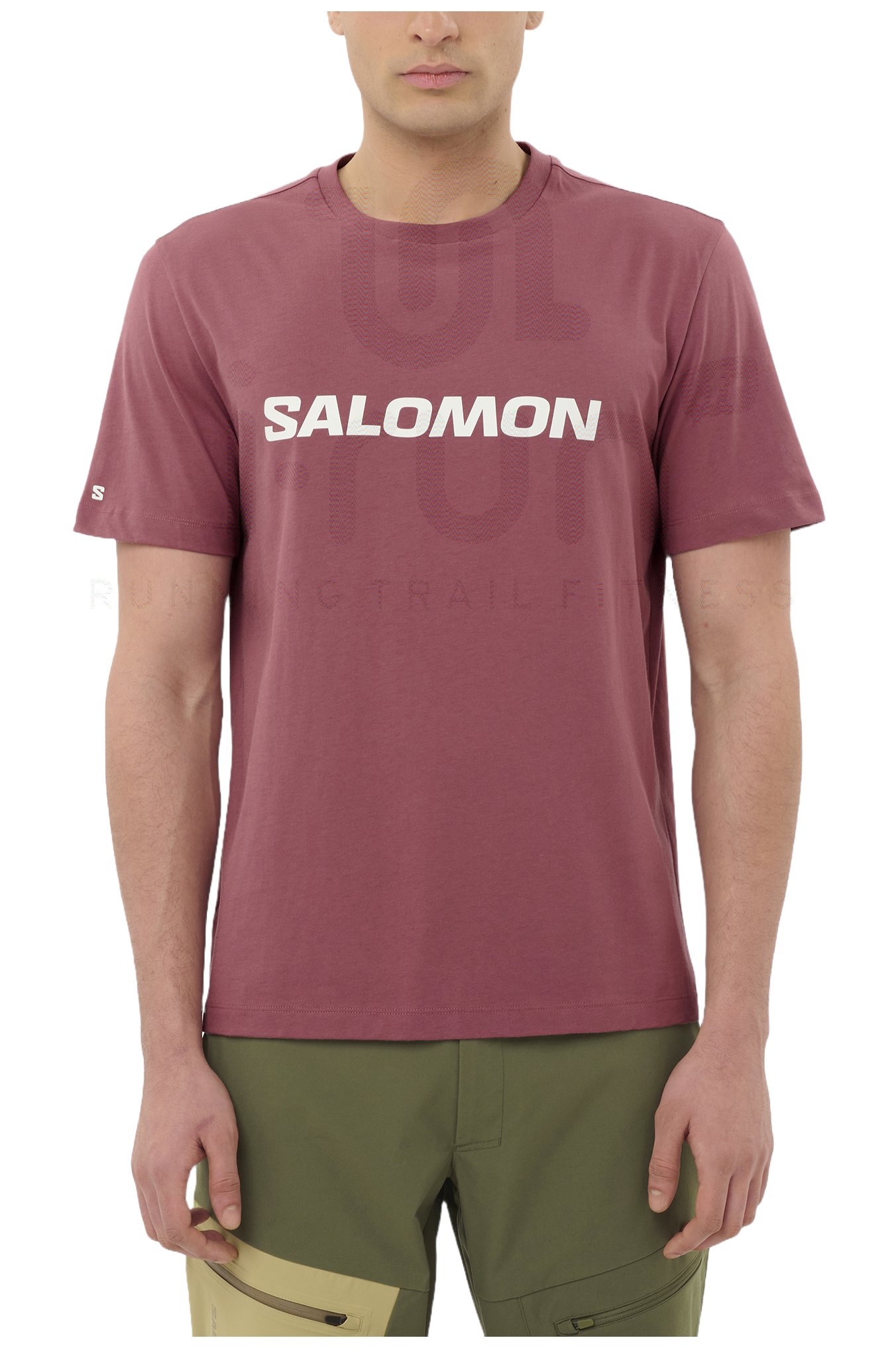 Salomon Big Logo