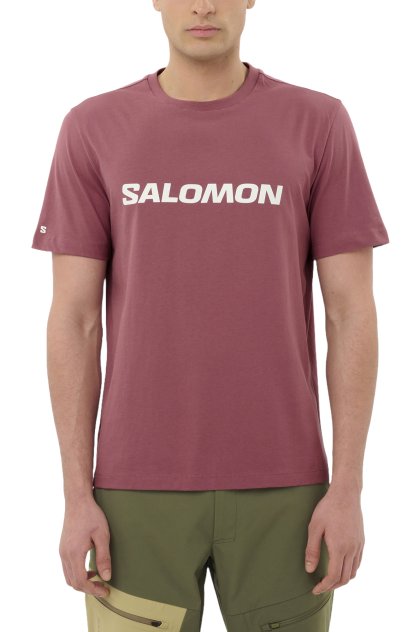 Salomon Big Logo