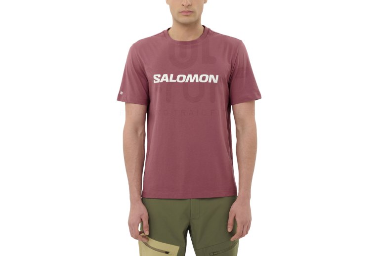 Salomon Big Logo