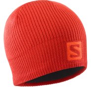 Salomon Logo