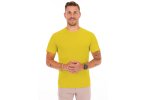 Salomon Outline