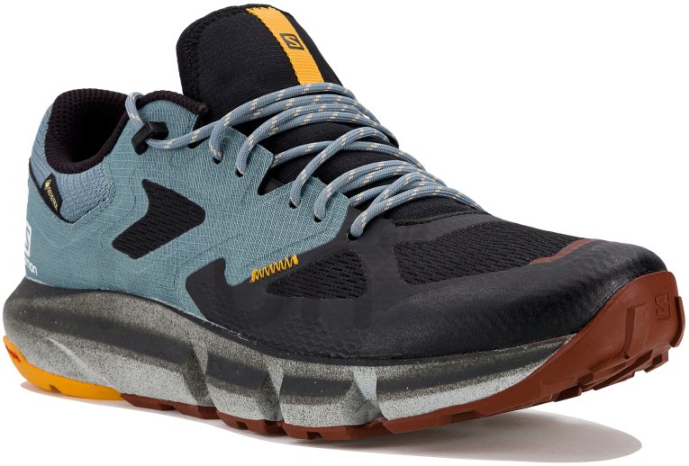 Salomon Predict Hike Gore-Tex Herren