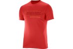 Salomon Camiseta manga corta Running Graphic Tee