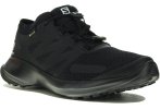 Salomon Sense Flow Gore-Tex
