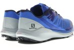 Salomon Sense Ride 4 Herren