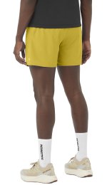Salomon SHAKEout CORE