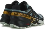 Salomon Speedcross 6 Gore-Tex