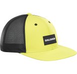 Salomon Trucker Flat