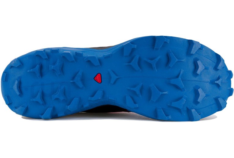 Salomon Wildcross 2 Herren