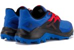 Salomon Wildcross 2 Herren
