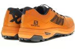 Salomon X Alpine Pro