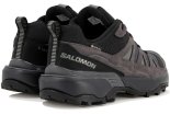 Salomon X Ultra 360 Leather Gore-Tex