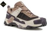 Salomon X Ultra 5 Gore-Tex