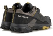 Salomon X Ultra 5 Gore-Tex