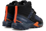 Salomon X Ultra Alpine Mid Gore-Tex Herren
