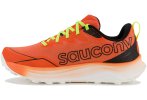 Saucony Peregrine 16