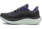 Saucony Triumph 23 Gore-Tex Damen