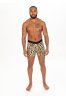 Stance Rawr Wholester Boxer Brief M 