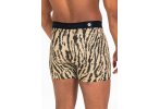 Stance Rawr Wholester Boxer Brief M