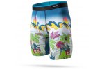 Stance bxer Total Paradise Boxer Brief
