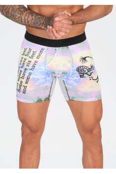 Stance Wholester Six Feet Boxer Brief